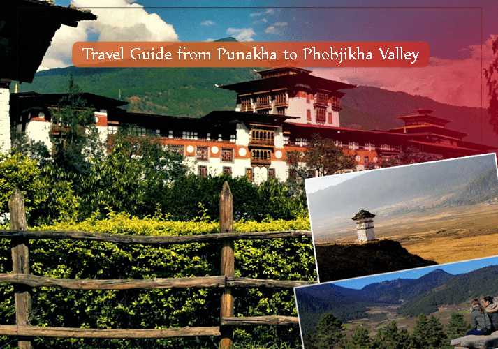 Travel Guide from Punakha to Phobjikha Valley