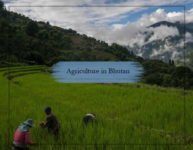 Information and aspects about Agriculture in Bhutan
