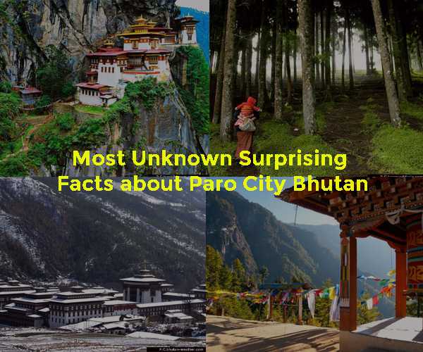16 Most Unknown Surprising Facts About Paro City Bhutan